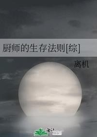 厨师的日常