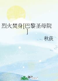 大火后巴黎圣母院