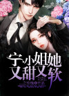 宁小姐和她的顾先生电视剧