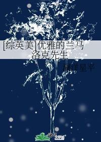 [综英美]优雅的兰马洛克先生全文免费