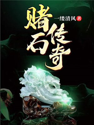 赌石传奇赌石之王