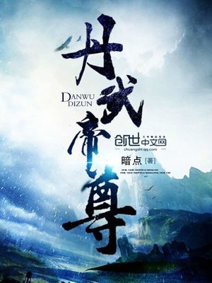 丹武帝尊叶辰