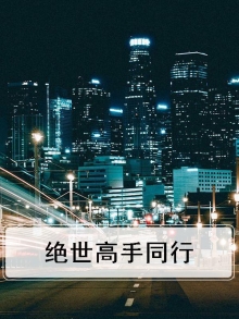 绝世高手系列