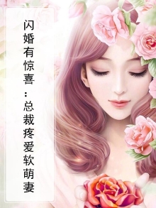 闪婚专宠,总裁爱妻太霸道免费阅读