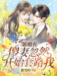 新婚夜,傻妻忽然开始套路我