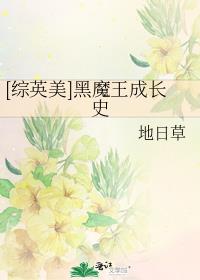 综英美黑魔王成长史小说