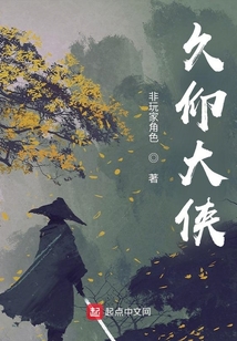 久仰大侠 小说