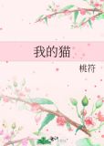 我的猫咪室友