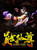 真武仙尊小说