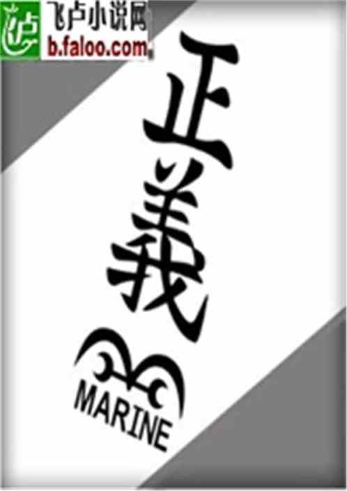 海贼王之正义