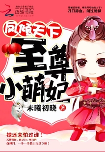 凤倾天下至尊小萌妃