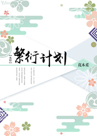 火影繁衍计划个人志购买