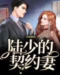 替嫁新娘,陆少的契约妻