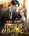 分手后，渣男的首富哥哥对我动春心