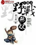 三国之野战无双