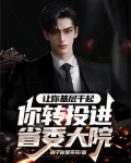 让你基层干起，你转投进省委大院