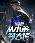 港综：从小弟到大佬